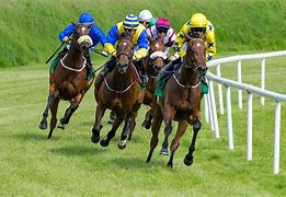 Track Winner