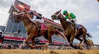 Track Winner
