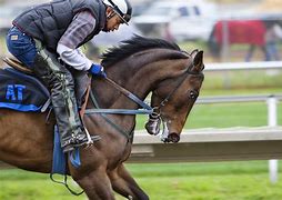 Track Winner